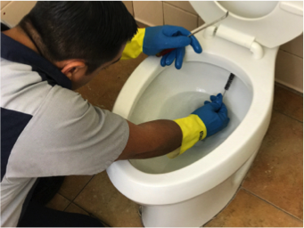 Hygenex specialist cleaning toilet bowl